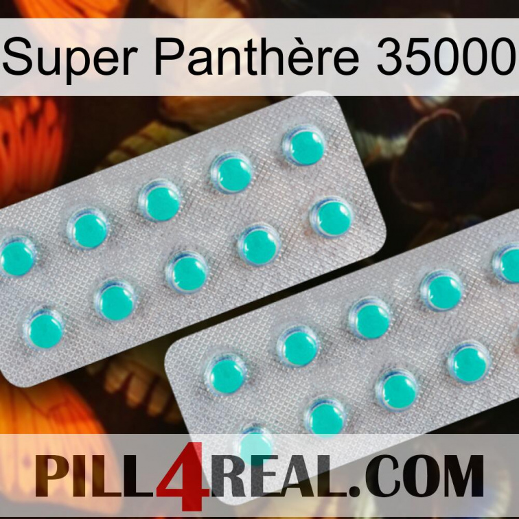 Super Panthère 35000 29